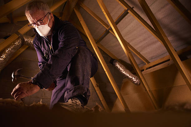 Best Geographic-Specific Insulation Services in Coal Fork, WV